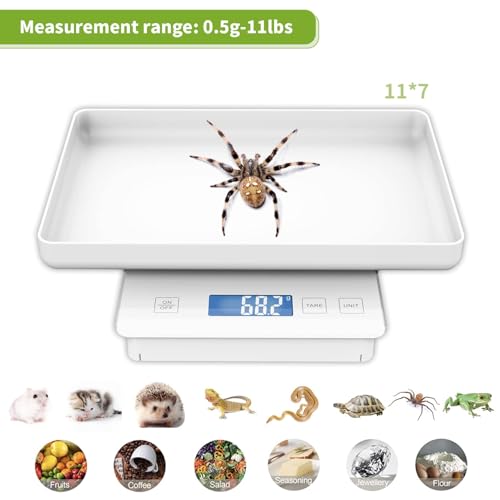11lbs/0.1g Pet Scale for Small Animal, Whelping Scale, Guinea Pig Weighing Scale, High Precision 0.003oz, Suitable for All Newborn Pets, Kittens, Turtles, - color: White 0.1g