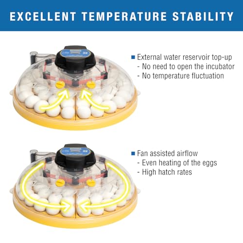 Brinsea Maxi 48 Advance Egg Incubator with Automatic Egg Turning and Temperature Control for Hatching 48 Chicken, Duck, or Other Eggs- Optimal Flexibility with Mix & Match Sizes - size: 48 Eggs