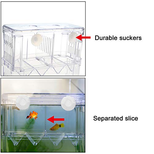 Aquarium Fish Breeder Box Plastic Fish Isolation Breeding Box Hatching Incubator for Baby Shrimp Clownfish Guppy - size: Large