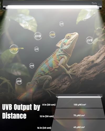 Pawfly T5 Reptile Light Combo Kit with 2 UVB Tubes, 10.0 UVB Light Fixture with Terrarium Hood and 24W Light Tubes for Bearded Dragon, Desert & Tropical Terrariums