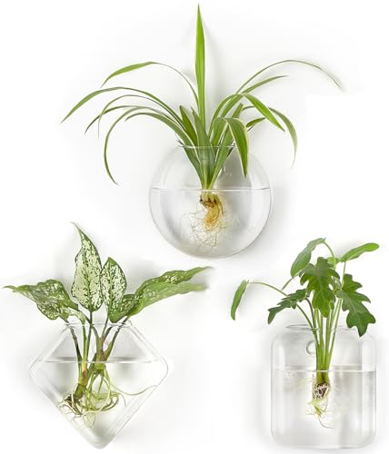 Mkono Wall Propagation Planters Hanging Glass Plant Vase Holder, 3 Pack | Three Shapes Terrariums Station,for Indoor Hydroponic Plants Flowers,Easy to Install,Home Bathroom Decor, Plant Lover Gift
