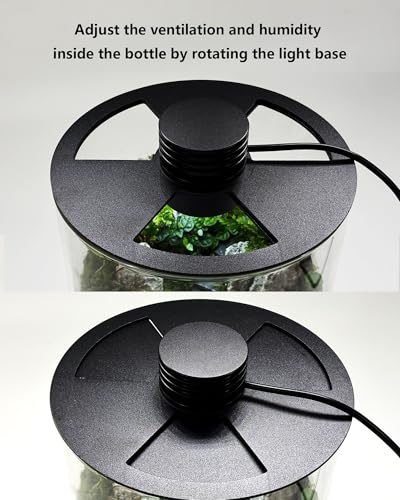 Desktop Glass Terrarium with Grow Light (7.5" H x 5.9" D) - for Succulents, Moss, Mini Gardens, Betta Fish Tanks, Mushroom Cultivation | Indoor Plant Growth | Office/Home Decor | Plant Lover Gifts - size: 7.5”