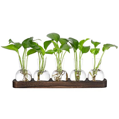 YIBOT Propagation Vases for Plants Terrarium with Wooden Tray,5 Glass Vases | Tabletop Plant Terrarium for Propagating Hydroponic, Retro Glass Planter Flower Vase Home Kitchen Office Decor Gifts - size: 5 Vase-T