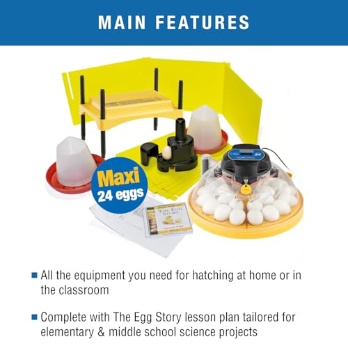 Brinsea Maxi 24 Advance Complete Classroom Egg Hatching Incubation Kit | Bring embryology to life! Includes incubator, all accessories & lesson plans teachers need for effortless classroom hatching - size: Classroom Kit, 24 Eggs