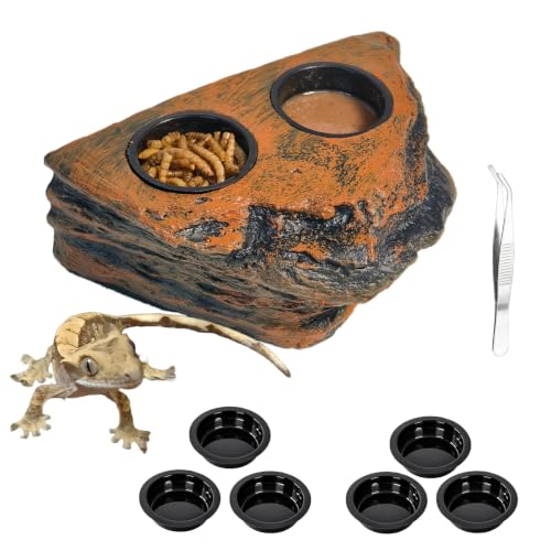 Tfwadmx Magnetic Reptile Feeder Ledge, Gecko Feeder Ledge with 6 Cups Reptile Feeding Bowls Food Dish Water Bowl Tank Accessories for Lizards Chameleons Frog(Blown) - color: Brown