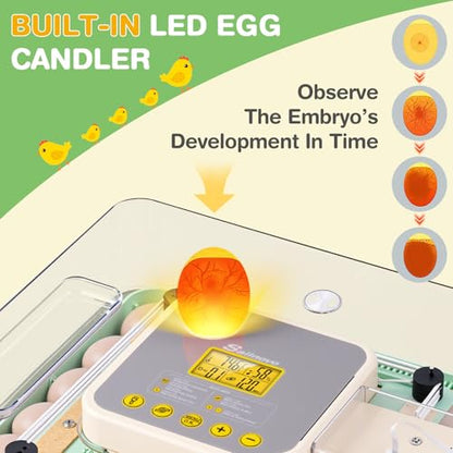 Sailnovo 48 Egg Incubator for Hatching Eggs with Auto Egg Turning, Precise Temp & Humidity Control, 360°Viewing, Egg Candler, Incubator for Chicken Eggs/Duck/Quail,Ideal for Farm/School/Lab,Green | Precise Temp & Humidity Control，Auto Egg Turning, 360°Vie