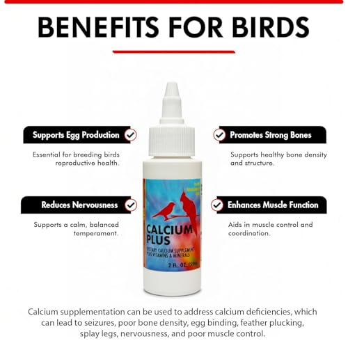 Calcium Plus Liquid 2 Fl Oz - Wellness and Breeding Support | Calcium Supplement - Supports Healthy Growth, Bone Strength, Breeding, Brain and Muscle Function, and Wellness for All Birds - size: 2 Fl Oz