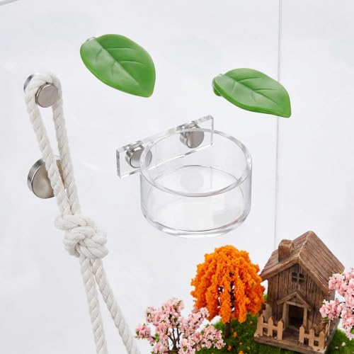 Jumping Spider Feeding Dish Set, Water Bowl with Tweezer, Reptile Feeding Dish Tongs, Water Dispenser Enclosure Jumping Spider Accessories