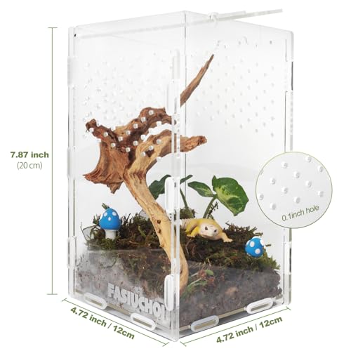 Small Acrylic Terrarium 4.7x4.7x7.8 inch, Transparent Reptile Enclosure Habitat with Ventilation, Mini Tank for Small Hermit Crab, Juvenile Gecko, Baby Lizard, Praying Mantis, Critters, Bugs & Insects