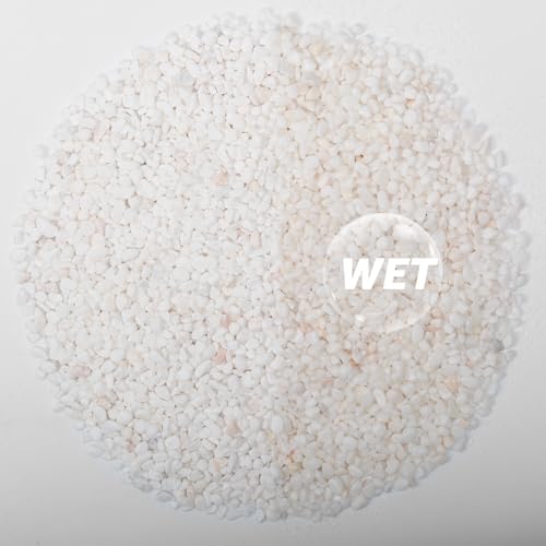 10lbs Natural Gravel Pebbles for Succulents and Cacti, 1/5 Inch Decorative River Stones – Perfect for Vases, Aquariums, Terrariums, and Outdoor Gardening, Mixed Colors (White, 10 Pounds) - color: White, size: 10 Pounds