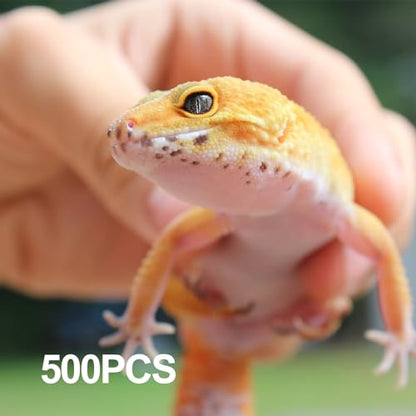 ZIYIZE 500 Pcs Feeding Cups Samll 0.5 oz Gecko Food and Water Feeding Dish Ledge Accessories Bowls for Crested Gecko Lizards Reptiles Pets