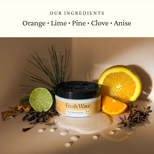 Fresh Wave Orange Odor Eliminator Gel 3-Pk 7 oz - Air Freshener for Home | Plant-based essential oils. Lasts 15-30 days per jar. No plug-in needed. Pet-safe, closet and bathroom deoderizer. - size: 7 Fl Oz (Pack of 3)