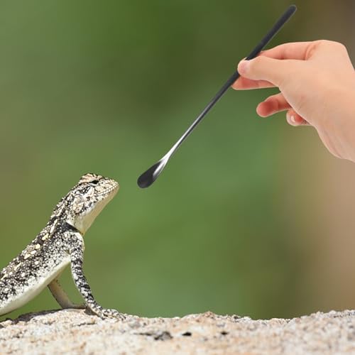 POPETPOP 2pcs Reptile Food Spoon Stainless Steel Lizard Feeding Scoop Small Animal Water Food Feeder for Lizards Chameleons and Other Pets - color: As Shown 1