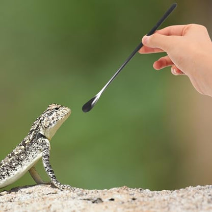 POPETPOP 2pcs Reptile Food Spoon Stainless Steel Lizard Feeding Scoop Small Animal Water Food Feeder for Lizards Chameleons and Other Pets - color: As Shown 1