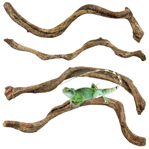 Reptile Branch Decor Snake Climbing Wood Branches Lizard Habitat Decorations Terrarium Wooden Tree Trunk Ornament for Bearded Dragon Snake Geckos Chameleon Frog 4 Pcs (14-16 inch) - size: 4 PCS-Diameter: 0.8-1.2 inches