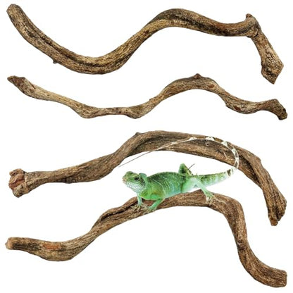Reptile Branch Decor Snake Climbing Wood Branches Lizard Habitat Decorations Terrarium Wooden Tree Trunk Ornament for Bearded Dragon Snake Geckos Chameleon Frog 4 Pcs (14-16 inch) - size: 4 PCS-Diameter: 0.8-1.2 inches