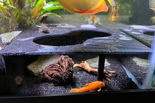 Aquarium Corner Hide for Fish Aquarium Undergravel Fish | Unique Underground Viewing Tunnel | Large Black Size 7.5" Lx 7.5" L x 3" H