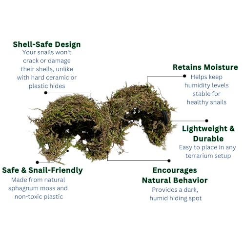 Snail Hideout for Pet Land Snails Snail Mansion – Natural Sphagnum Moss Shelter with Non-Toxic Plastic Core | Humid Hiding Spot for Snail Terrariums | Soft, Shell-Safe & Eco-Friendly Snail House