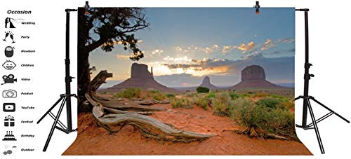 Leyiyi 6x4ft Monument Valley Photography Background American National Park Navajo Tribal Park Cowboy Western Desert Weathering Rock Warship Landmark Film Backdrop Polyester Terrarium Background - color: Desert2, size: 6x4ft-P
