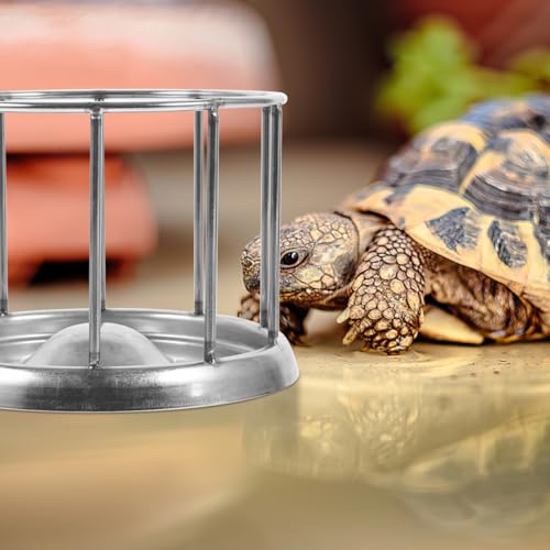 POPETPOP Stainless Steel Reptile Water Dish : Tortoise Feeder with Stable Base Reptile Food Bowl for Bearded Dragon Lizard Frog Gecko, 4.32X4.32X3.14in