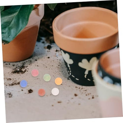 Kisangel Decorative Rocks for Planters Clay Pebbles for Hydroponics for Pot Fillers and Indoor Plant Decor