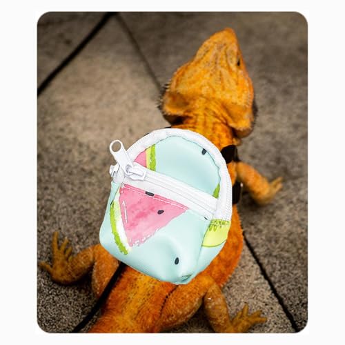 Bearded Dragon Backpack Carrier,Reptile Portable Backpack Carrier with Small Backpack Harness Leash Set,Space Capsule Clear Bubble Window Travel Backpack for Lizard Travel,Guinea Pig,Rabbit - color: Blue