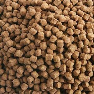 Hikari 17.6-Ounce Sinking Wheat Germ Pellets for Pets, Medium