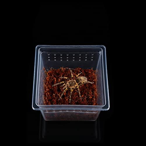 DQITJ 20 Pcs Spider Terrariums Breeding Box Hatching Container Acrylic Feeding Box for Small Reptile Scorpion Centipede Insect (Small Size)