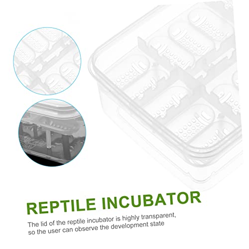 2Pcs Compartment Reptile Egg Incubator Tray Breeding Box for Snakes Lizards and Turtles Easy Clean and Reusable Transparent Design for Observation
