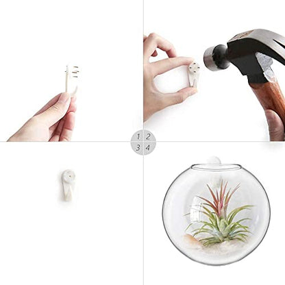 Mkono Wall Propagation Planters, 2 Pack Oblate Hanging Plant Holder Vase | Glass Terrariums Station, Hydroponic Indoor Flowers, Excludes Plants, Bathroom Living Room Office Decor, Gift for Plant Lover