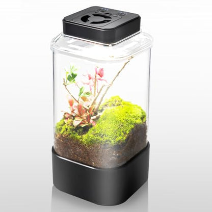 REPTI ZOO Insect Terrarium, 4" x 4" x 6" Insect Breeding Box with LED Lighting & Fan System, Glass Terrarium Tank for Spiders, Snail, Mantis and Small Reptiles