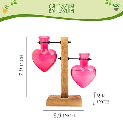 XXXFLOWER Plant Propagation Station Terrarium 2 Pink Heart Shaped Vase | Terrarium Kit Bulb Glass Metal Desk Plant Holder, Retro Air Plants Water Plants, Home Office Decoration - color: Pink