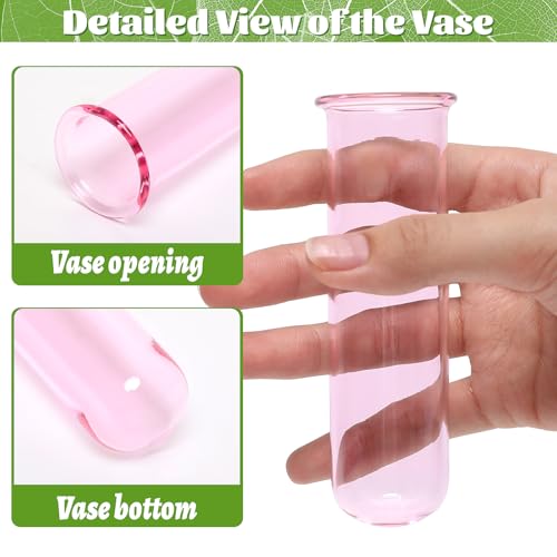 Glass Plant Propagation Station with 5 Test Tubes Colorful Planter Vase | Birthday Gifts for Women in Wooden Stand - color: Pink