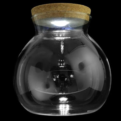 Glass Terrarium Jar with Led Light, Closed Terrarium Jar with Lid for Moss | Ideal for Succulents And Betta Fish Tank, Clear Round Desk Plant Container Ecosystem for Home & Office Decor (no Plants) - size: 16.00X15.00X15.00CM