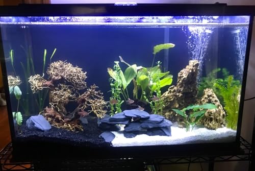 USA Natural Slate 3-5" for Aquariums, Reptiles, Terrariums, Miniatures 12lb | Hand sorted, tumbled & washed in the US by our family-owned small business. Great in paludariums, mosaics & fairy gardens too - size: 12 Pounds
