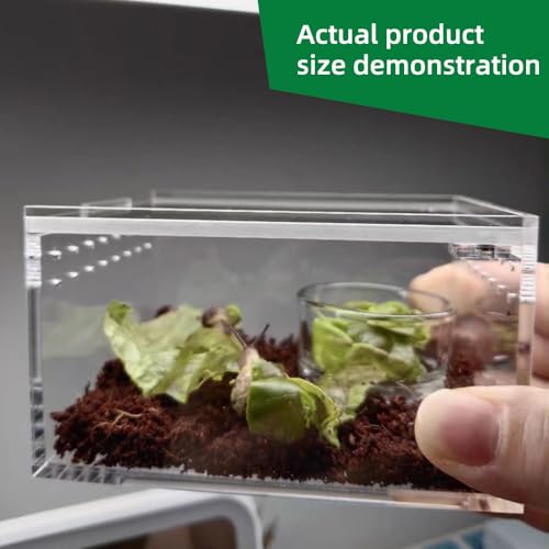 Small Acrylic Reptile Enclosure, No Assembly Small Reptile Breeding Box for Insect Tarantula Hermit Crab Jumping Spider (4x3.3X2.5 in) - size: 4x3.3X2.5 in