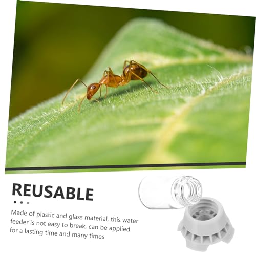 Abaodam Simple Ants Water Bowl Liquid Feeder for Ants Reptile Water Dispenser Station Random Color