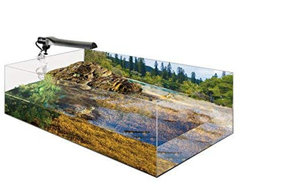 Exo Terra Turtle Bank - Large - size: Large