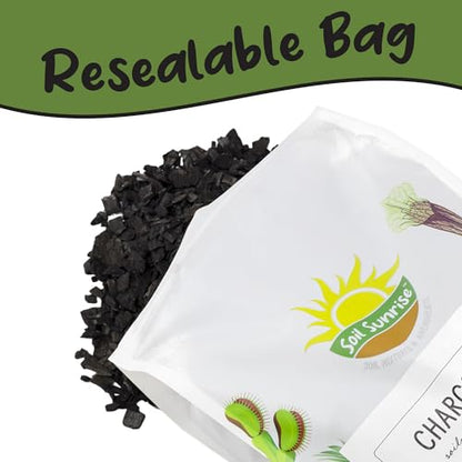 Soil Sunrise Horticultural Charcoal for Indoor Plants (4 Quarts) Hardwood Soil Additive for Orchids, Terrariums, and Gardening - size: 4 Quarts