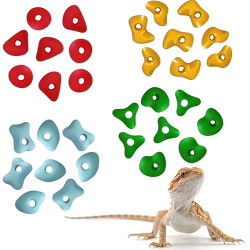 32PCS Rock Climbing Holds for Bearded Dragons Climbing Rock Wall Grips for Bearded Dragons Tank Accessories Reptiles Toy Rock Wall Holds (Not Glue) - color: Colorful