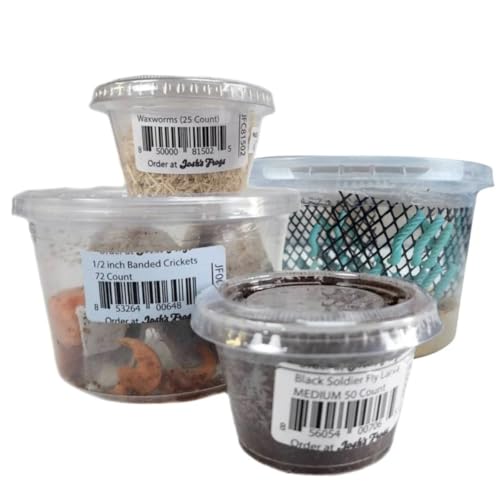 Josh's Frogs Bearded Dragon Live Feeder Insect Bundles (Juvenile)