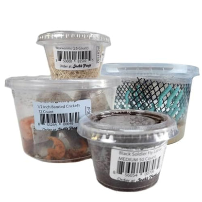 Josh's Frogs Bearded Dragon Live Feeder Insect Bundles (Juvenile)
