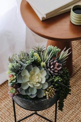 caqpo Premium Fake Succulents: Artificial Succulent Plants Decor - 30 Pack - size: 30Pack