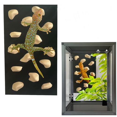Rock Climbing Wall for Bearded Dragons Climbing Rock Wall Grips for Bearded Dragons Tank Accessories Reptiles Toy (Beige) - color: Beige