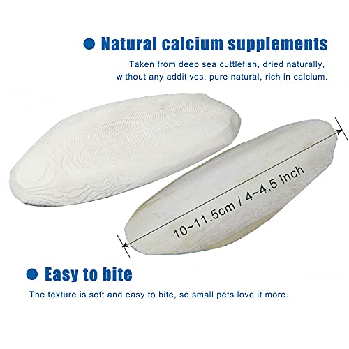2PCS Natural Cuttlebone for Tortoise Turtles Snails Birds Cockatiels Parakeets Budgies Reptiles Small Animals(4"-4.5",Small)