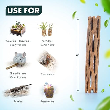 Natural Cholla Wood - Driftwood for Aquariums, Air Plant Base, Hermit Crab and Freshwater Shrimp Hideout, Fish Tank Decoration, Chinchilla Chews, Reptile Habitat Wood - 4 Inch, 3pc - size: 4 Inch (Pack of 3)