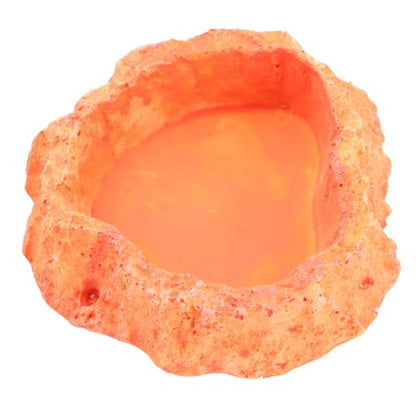 Reptile Feeding Bowl Skid Base Sturdy Food and Water Dish for Lizards Turtles and Other Crawling Pets Orange 2-in-1 Feeder Container