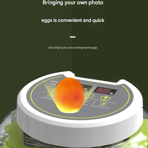 JUJOJB 12-Egg Incubator for Hatching Eggs, Auto Turner, Temp Control | Humidity and temperature control, egg candler, 360-degree window. For chicken, duck, quail, turkey eggs. Adjustable dividers. - color: Green