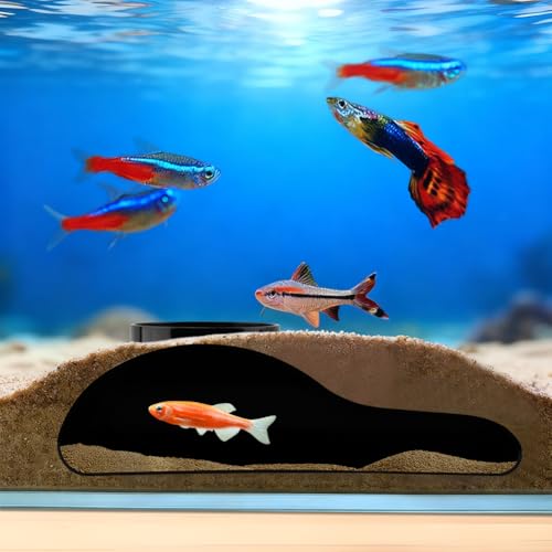 Aquarium Decor, Shrimp Dome Hide & Habitat, Aquarium Tunnel Cave, Natural Curve Underground Hideout for Shrimp, Guppy, Fish Tank Decor & Viewing Accessories