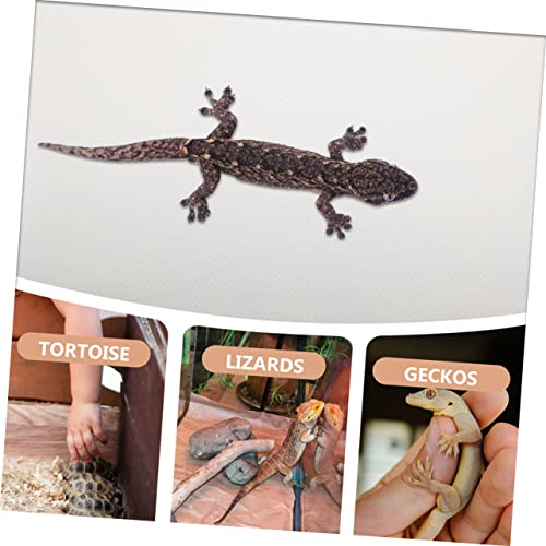 Reptile Carpet Mat for Leopard Gecko Bearded Dragon Lizard Snake Turtle Waterproof Non-Toxic Soft Bedding for Terrarium Accessories - color: White